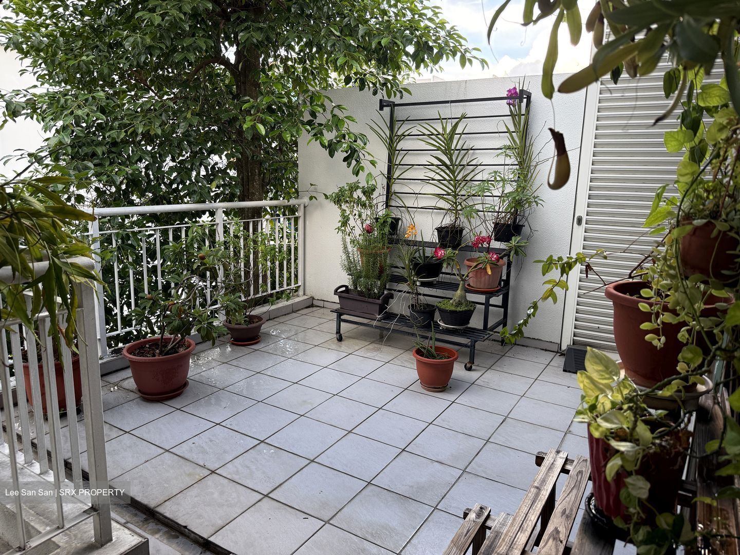Le Reve (D14), Condominium #588206471